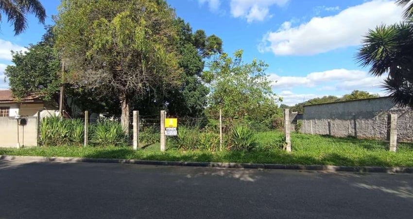Terreno comercial à venda na LEOPOLDO OKRASKA, 578, Jardim Nossa Senhora do Perpétuo Socorro, Campo Largo