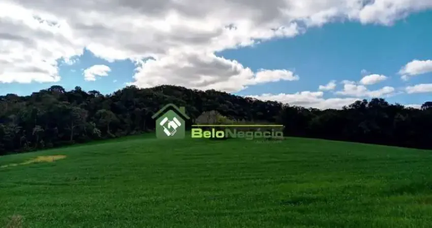 Terreno à venda na RODOVIA PR 423 KM 10, Lagoa Suja, Araucária