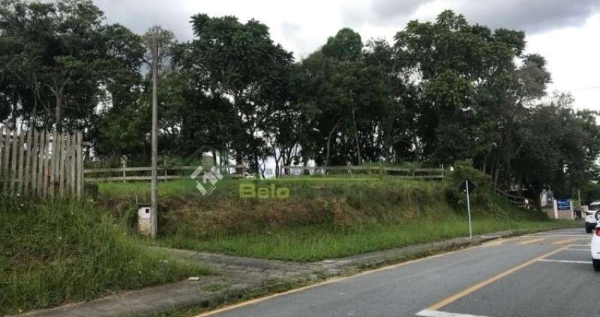 Terreno à venda na RUA RUA PAULO ALVES PINTO, Centro, Araucária