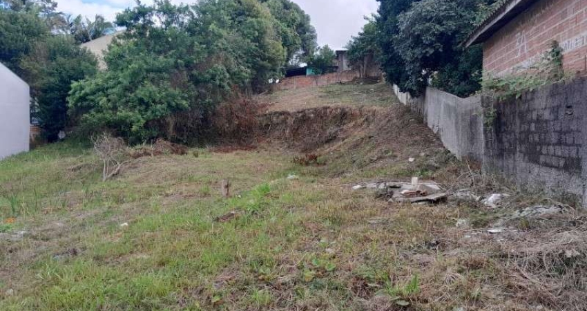 Terreno à venda na Rua Júlia Ohpis, Porto das Laranjeiras, Araucária