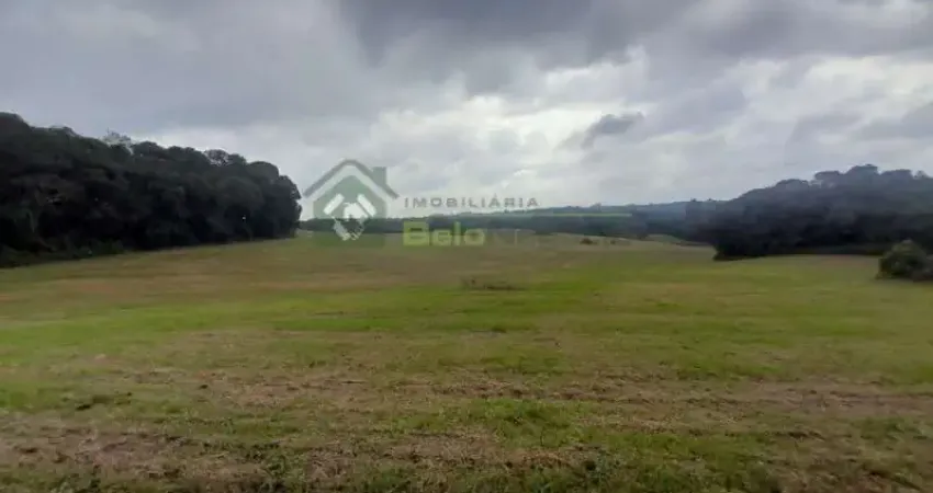 Chácara / sítio à venda na RUA RUA THEOPHILO FIRSZT, 0000, Lagoa Suja, Araucária