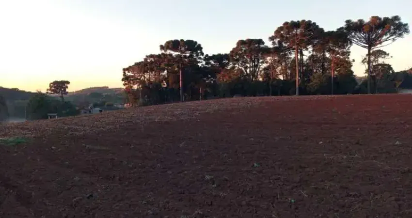 TERRENO - GRANDES AREAS - RIO ABAIXINHO - ARAUCARIA