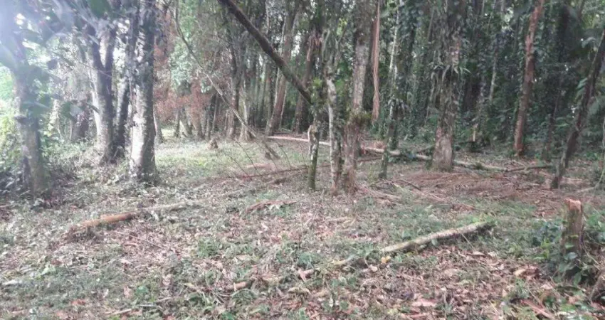 TERRENO no BOM RETIRO com 0 quartos para VENDA, 744 m²