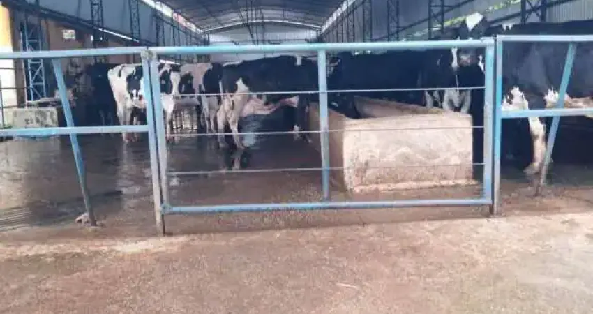 Fazenda á venda - 109 Hectares - localização entre Varginha e Pouso Alegre