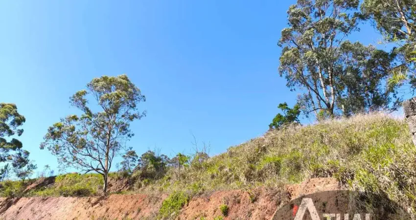 Terreno comercial à venda na Avenida Vitor Odorico Bueno, 100, Canjica (Terra Preta), Mairiporã