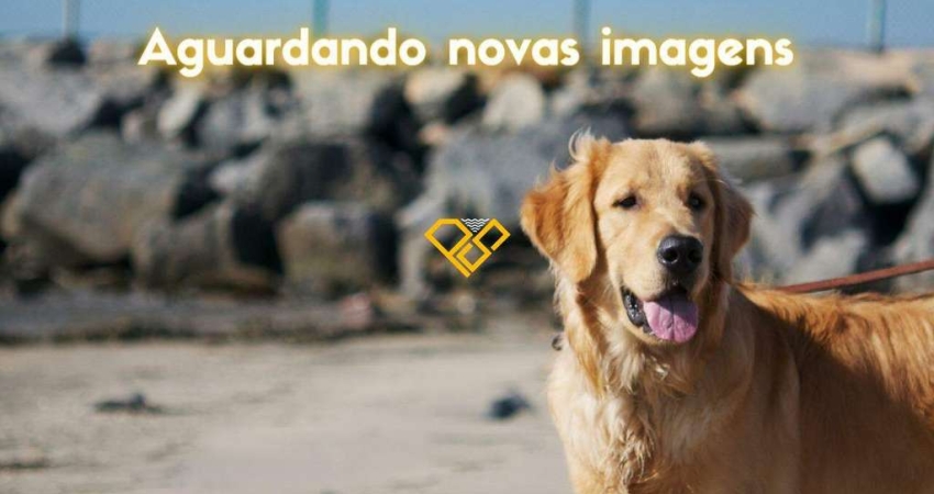 Apartamento com 2 quartos para alugar no Ponta da Praia, Santos 