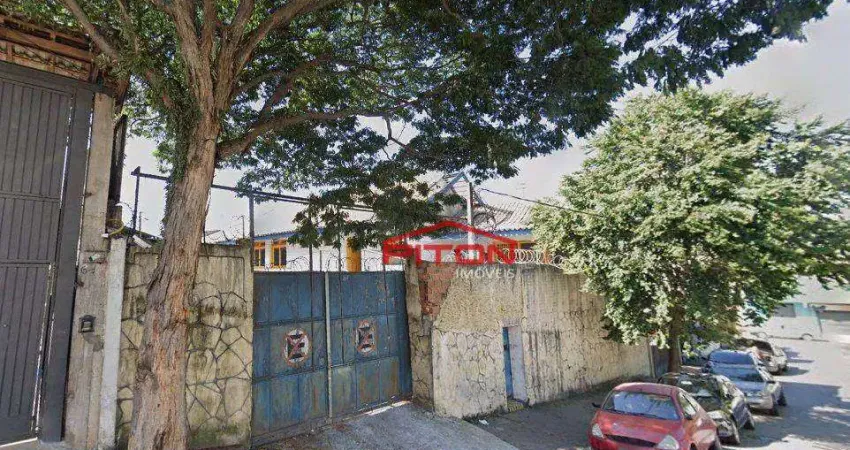 Barracão / Galpão / Depósito com 1 sala para alugar na Rua Jardim das Margaridas, 40, Vila Buenos Aires, São Paulo