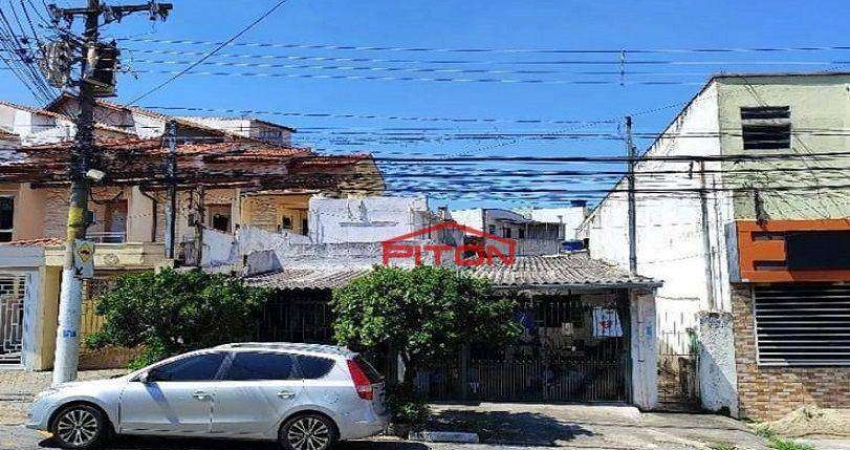 Terreno - Cidade Patriarca - São Paulo/SP