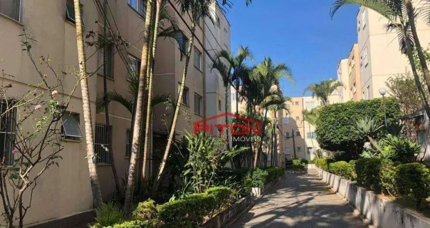 Apartamento com 2 quartos à venda, 50 m² por r$ 260.000 - vila sílvia - são paulo/sp