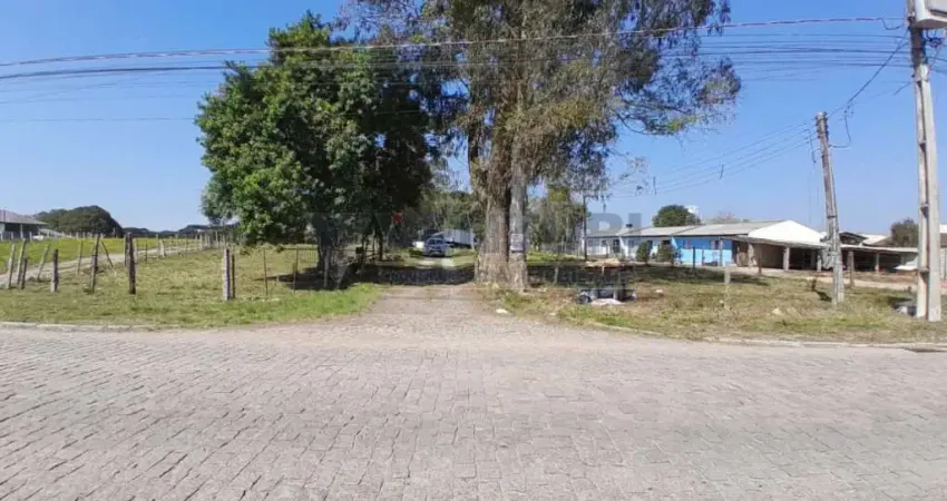 Terreno à venda na Rua Joaquim Alves Fontes, 1864, Colônia Murici, São José dos Pinhais