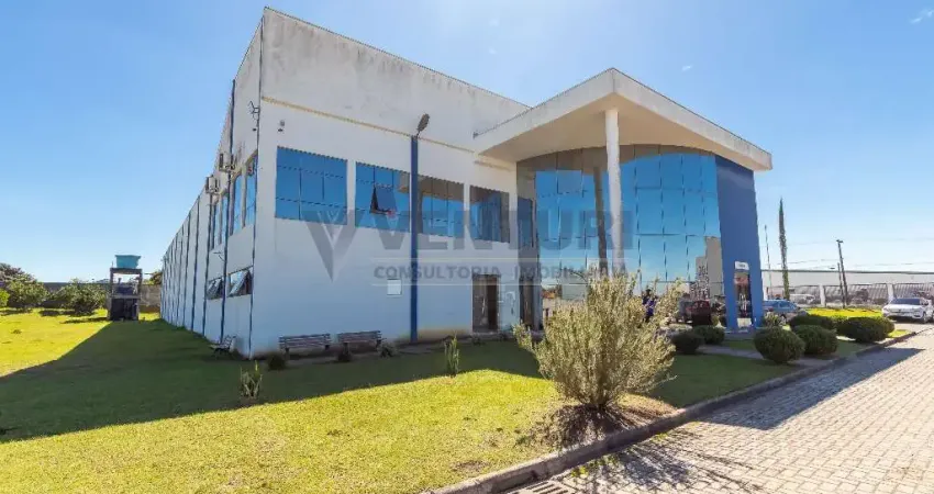 Barracão / Galpão / Depósito à venda na Rua Ângelo Costa, 344, Costeira, São José dos Pinhais