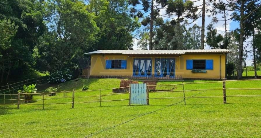 Chácara / sítio com 2 quartos à venda na Rua Artur Carvalho Da Rocha, 1450, Contenda, São José dos Pinhais