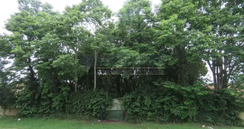 Chácara / sítio à venda na Avenida Alzira Berton Pauletto, 1185, Del Rey, São José dos Pinhais