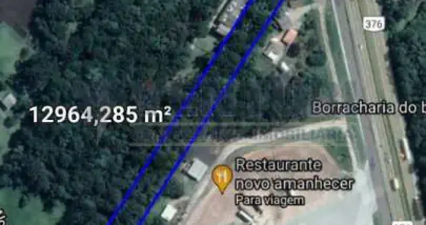 Terreno à venda na Rodovia BR-376, 624, Campo Largo da Roseira, São José dos Pinhais