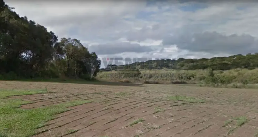 Terreno à venda na Rua Alcebíades da Cruz, 00, Campo Largo da Roseira, São José dos Pinhais