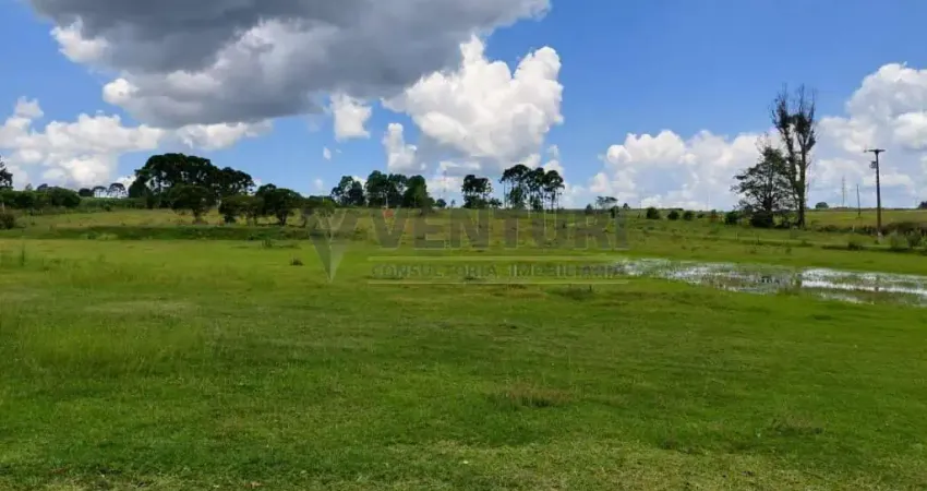 Terreno à venda na Avenida Vereador Domingos Benvenuto Moletta, 00, Campo Largo da Roseira, São José dos Pinhais