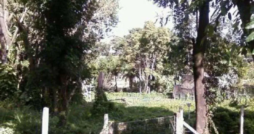 Terreno à venda na Rua Francisco Xavier de Sousa Júnior, 77, Jardim das Paineiras, Campinas