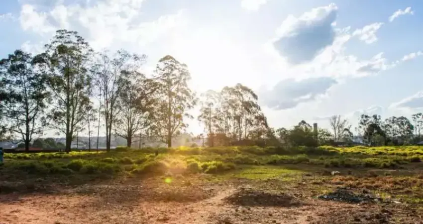 Terreno à venda e para alugar em são bernardo do campo, cooperativa