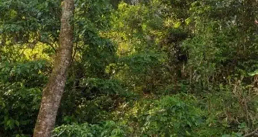 Terreno à venda na Alameda dos Pinheiros, 180, Santa Inês, Mairiporã