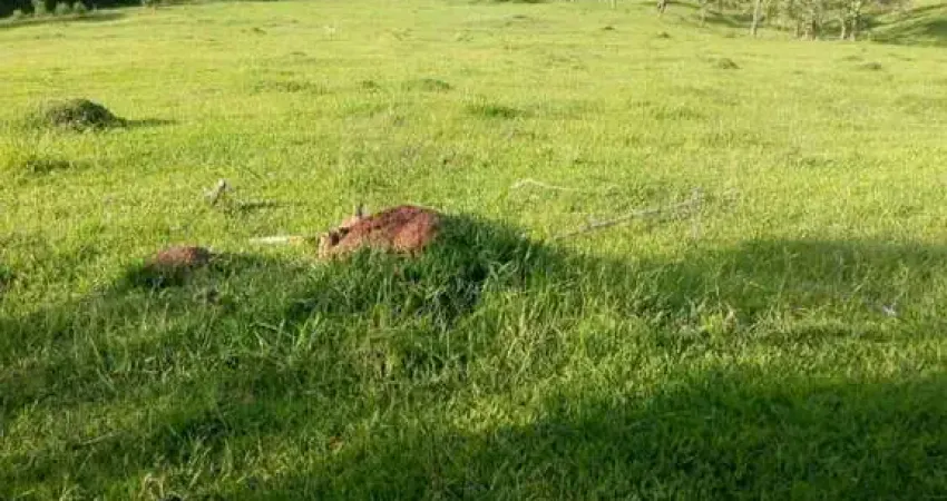 Terreno para Venda em Nazaré Paulista, Mascate