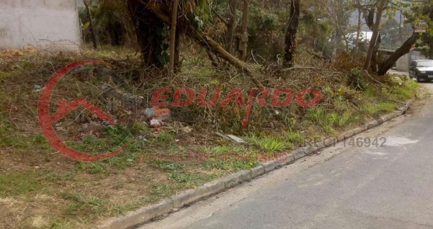 Terreno à venda na Rua João Aparecido Alves Bueno, 00, Parque da Represa, Mairiporã
