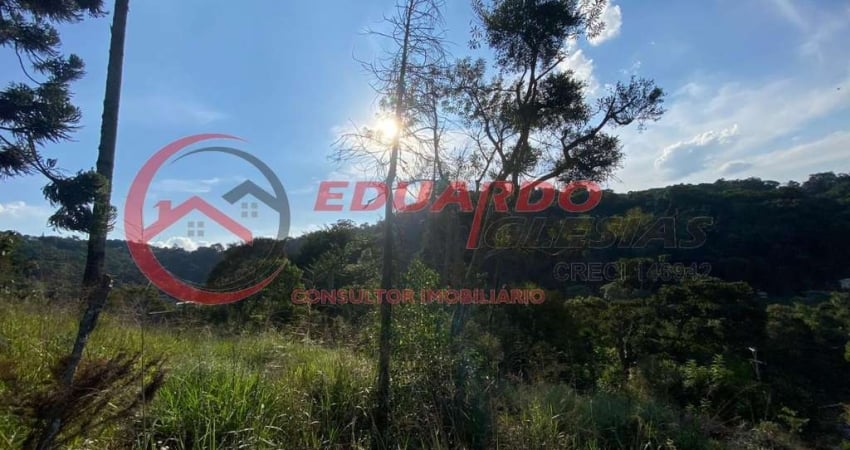 Terreno à venda na Alameda dos Pinheiros, 180, Jardim Samambaia, Mairiporã