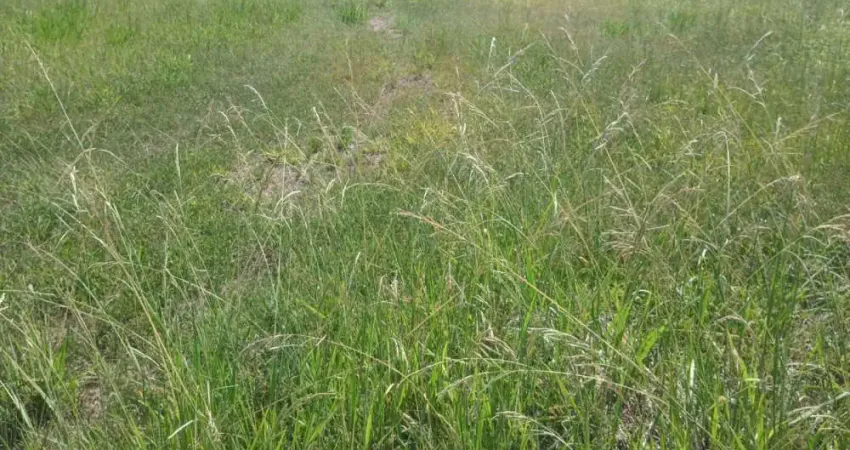 Excelente terreno 3.622m2 - próximo a br470 - divisa com blumenau