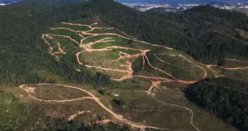 Terreno à venda no Macucos, Gaspar 