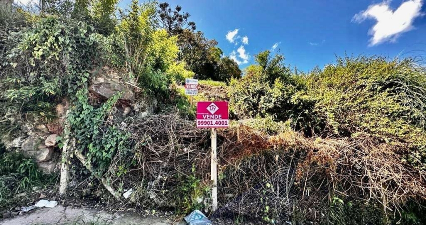 Terreno para Venda - 809.12m², 0 dormitórios, São José
