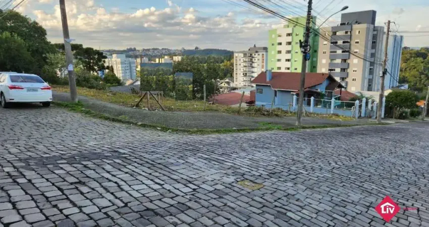 Terreno à venda na Alcides Ernesto Affonso, 600, Diamantino, Caxias do Sul