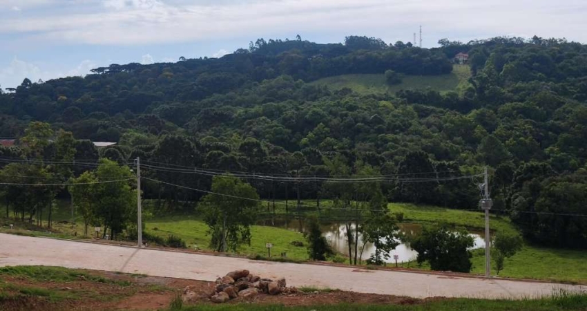 Terreno à venda na Rua Interbairros, 00, Centro, Nova Petrópolis