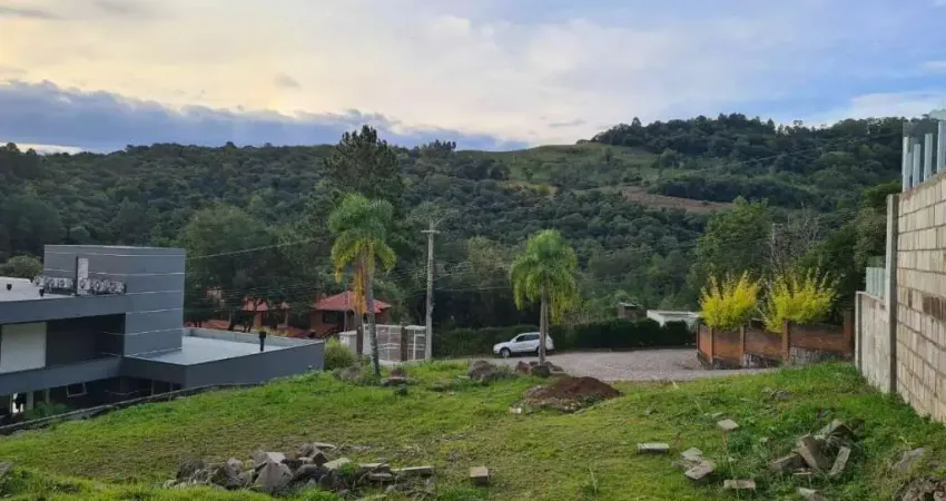 Terreno em condomínio fechado à venda na Rua Travessão Thompson Flores, 00, Linha 40, Caxias do Sul