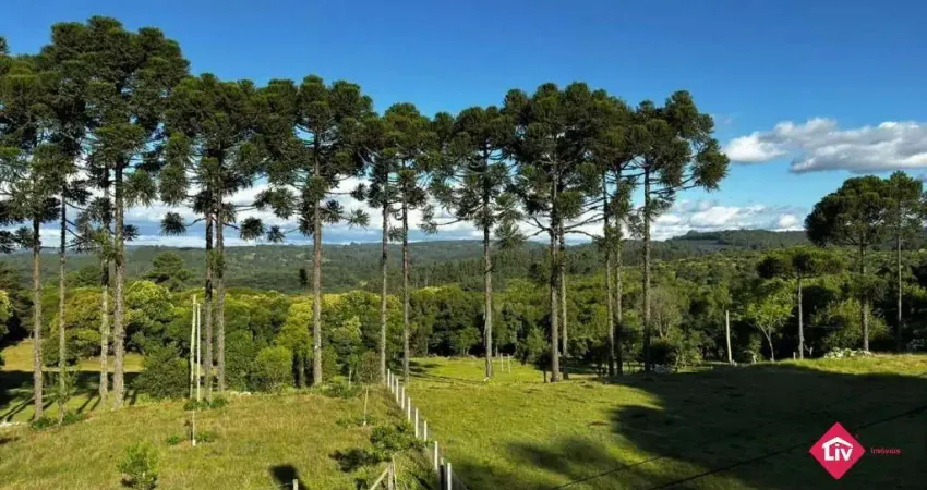 Chácara / sítio à venda na Rua Ismael José Rangel de Castilhos, 00, Ana Rech, Caxias do Sul