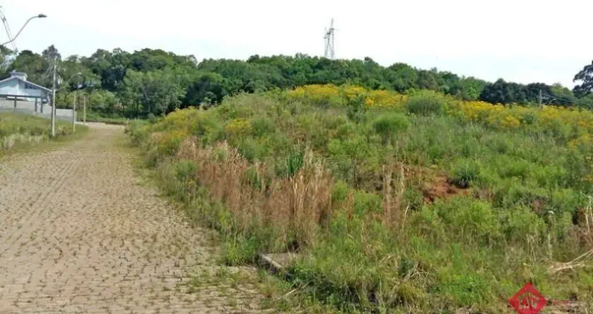 Terreno para Venda - 486.64m², 0 dormitórios, Monte Bérico