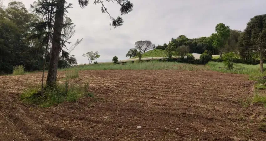 Chácara para Venda - 0m², 0 dormitórios, Linha 40