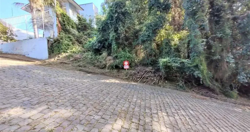 Terreno à venda na Rua Stefano Debiasi, 34, Colina Sorriso, Caxias do Sul