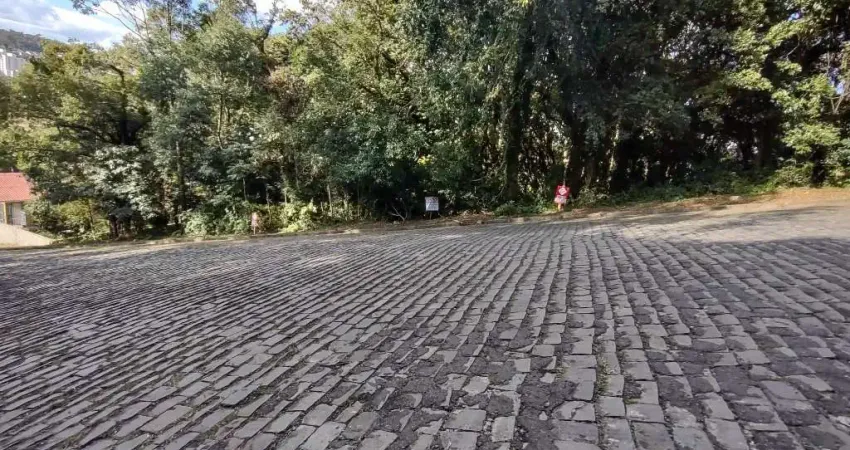 Terreno à venda na Rua Cesare Cambruzzi, 21, Colina Sorriso, Caxias do Sul