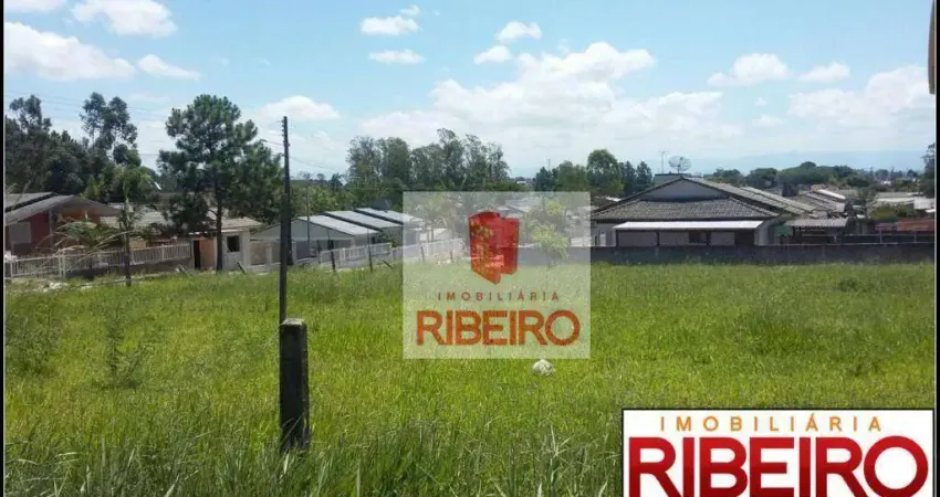 Terreno à venda, 1638 m² por R$ 500.000,00 - Mato Alto - Araranguá/SC