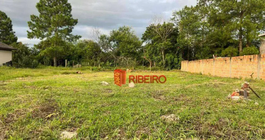 Excelente Terreno à venda, 357 m² por R$ 110.000 - Santa Bárbara - Araranguá/SC