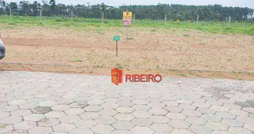 Terreno à venda, 300 m² por R$ 130.000,00 - Nova Divinéia - Araranguá/SC