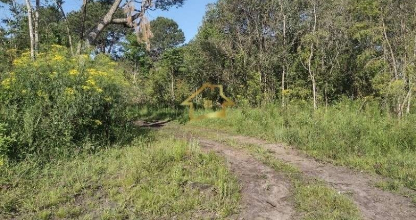 TERRENO NO JARDIM DAS ACÁCIAS