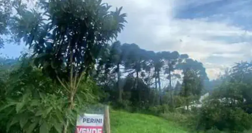 Terreno à venda no Presidente Vargas, Caxias do Sul 