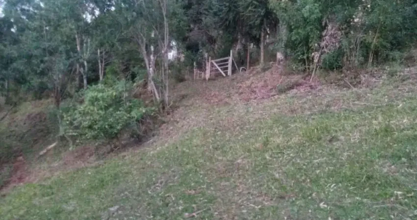 Chácara para venda,  São Vitor, Caxias Do Sul - CH101295