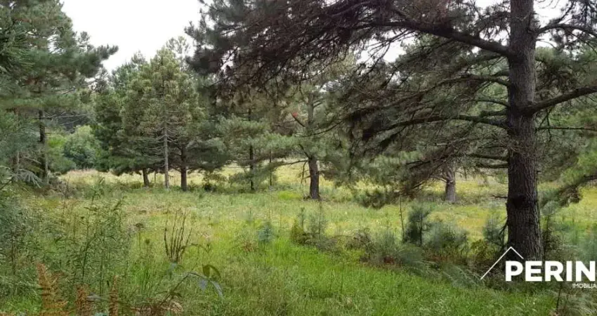 Chácara / sítio à venda na Vila Oliva (Distrito), Caxias do Sul