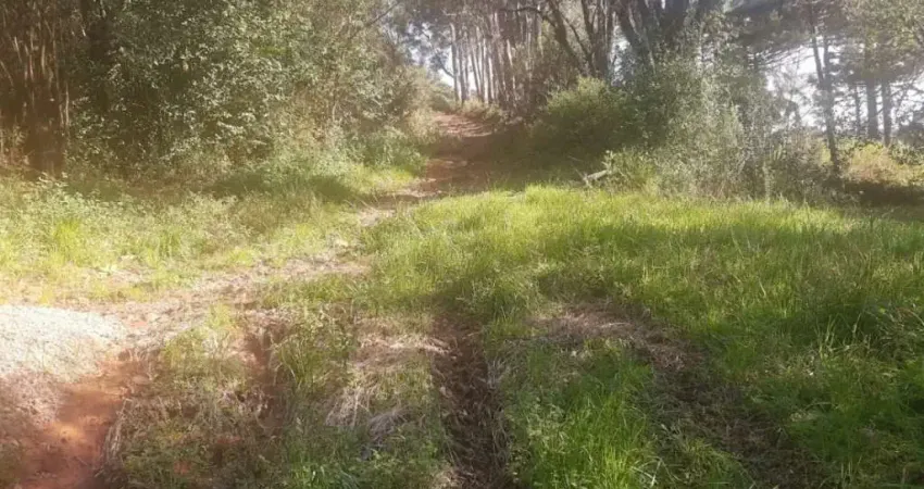 Chácara / sítio à venda na Nossa Senhora das Graças, Caxias do Sul 