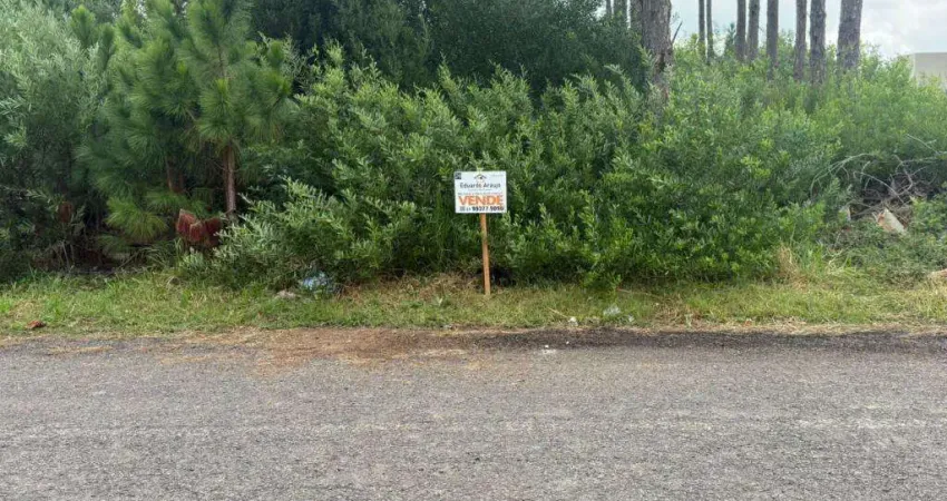 Terreno à venda na Avenida Paraguassu, 4115, Capão Novo, Capão da Canoa