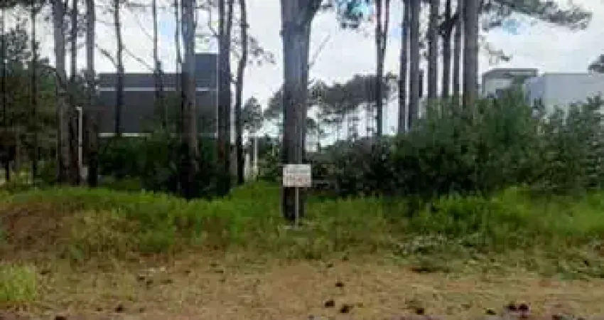 Terreno à venda na Rua Andira, 4115, Capão Novo, Capão da Canoa