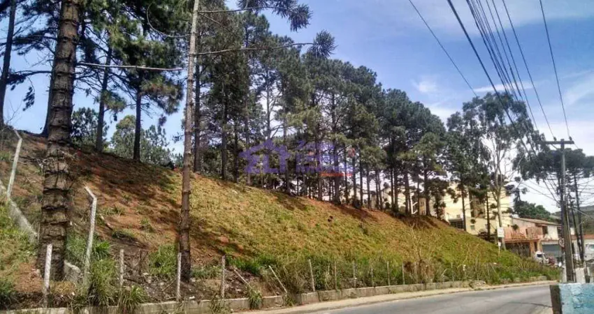 Área à venda, 8163 m² por R$ 6.800.000,00 - Jardim São Paulo - Itaquaquecetuba/SP