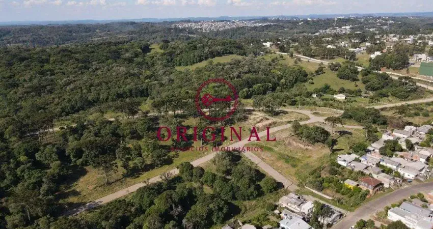 Terreno à venda na Rua General Alexandre Moss Simões dos Reis, Mariland, Caxias do Sul