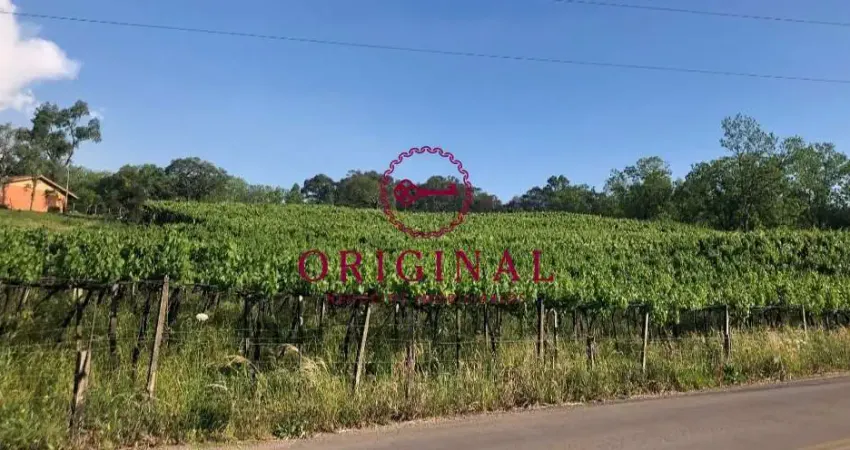 Terreno à venda na Estrada Municipal Valentino Venturin, 3460, Monte Bérico, Caxias do Sul